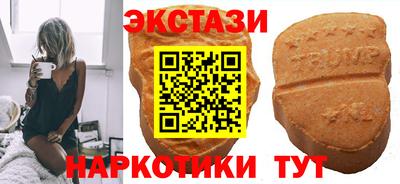 винт Владимир