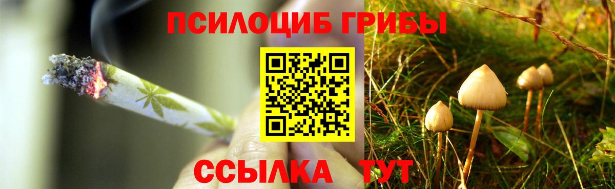 Альметьевск  Галлюциногенные грибы Magic Shrooms  Вход с VPN 